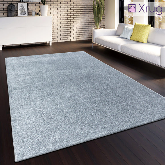 Grey Rug Monochrome Large Small for Living Room Bedroom buy online