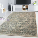 Oriental Rug Carpet Traditional Beige Floral Pattern Living Room Bedroom Mat New