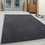 Plain Grey Rug Bedroom Living Room Rugs Mats Small Large XL Carpet Mat New