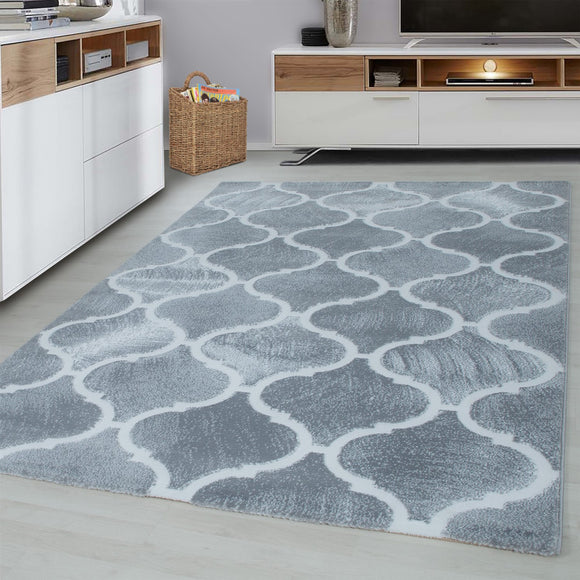 Light Grey Rug Modern Oriental Pattern Carpet Small Large Short Pile Bedroom Mat