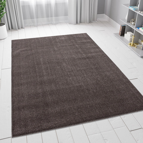 Brown Rug for Living Room Plain Solid Monochrome Soft Carpet Large XL Small Floor Area Mats