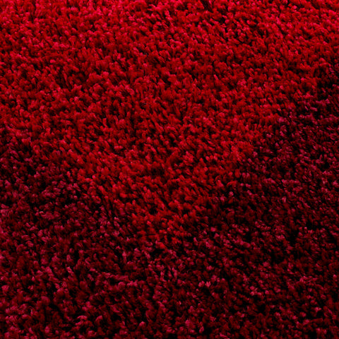 Red Rug Modern Border Design Fluffy Shaggy Floor Mat High Pile Room Hall Carpets