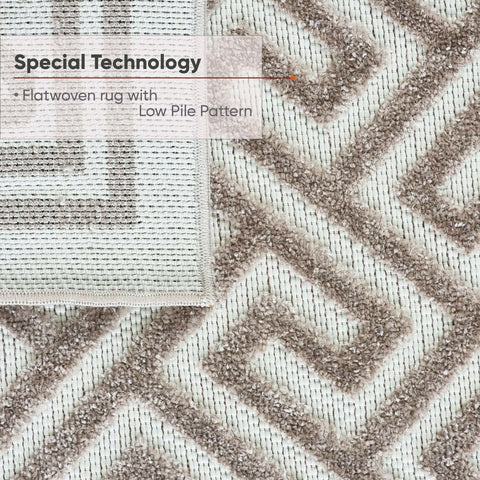 Living Room Rug Beige Cream Large Small XL Flat Weave Carpet Mat for Dining Room Bedroom
