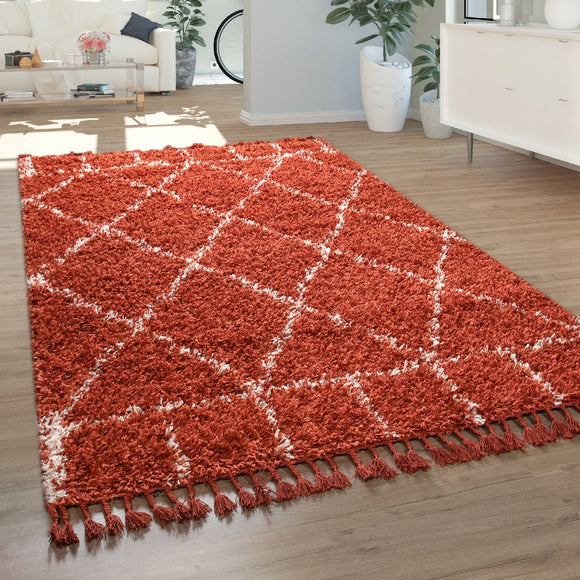 Terracotta Shaggy Rug Thick Soft Tassels Fluffy Carpet Large & Small Area Mat